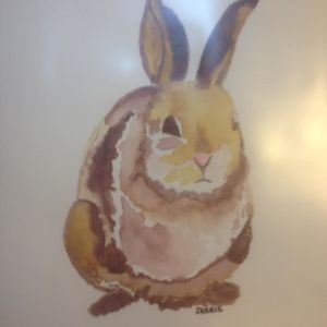 Meet your Posher, Jackie